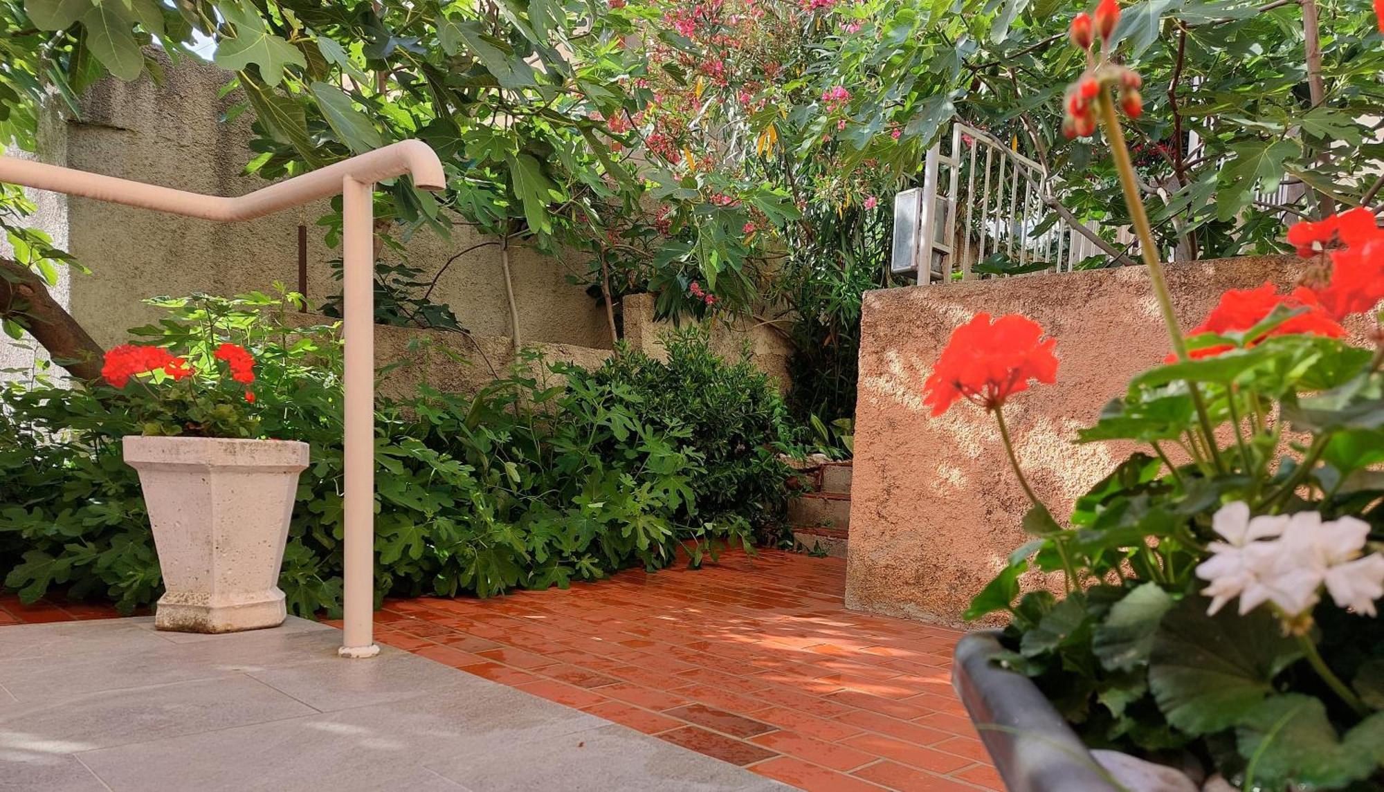 Sunny Getaway Apartments Ντουμπρόβνικ Δωμάτιο φωτογραφία